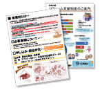 イラスト:パンフレットイメージ