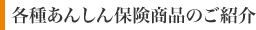 各種あんしん保険商品のご紹介